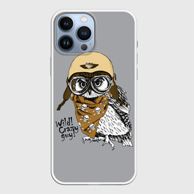 Чехол для iPhone 13 Pro Max с принтом Wild Сrazy guy в Новосибирске,  |  | wild сrazy guy дикий | бандана | взгляд | графика | искусство | картинка | каска | коричневый | кости | крутой | лучший | мода | модный | молодёжная | очки | пилот | платок | птица | рисунок | серый | сова