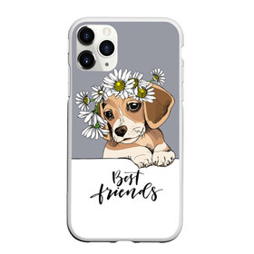 Чехол для iPhone 11 Pro матовый с принтом Best friend в Новосибирске, Силикон |  | backgroun | best | breed | daisies | dog | flowers | friend | green | kid | puppy | wreath | венок | графика | друг | зелёный | картинка | красивый | крутой | лучший | малыш | мода | модный | молодёжная | порода | рисунок | ромашки | собака