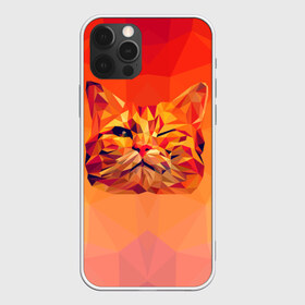 Чехол для iPhone 12 Pro Max с принтом Подмигивающий кот (Low Poly) в Новосибирске, Силикон |  | cat | fox | kitty | low | lowpoly | poly | веселая | геометрия | грозовой кошак | желтая | кот | котейка | котофей | кошак | лиса | любителям кошек | низкополигональный | позитив | прикольная | рисунок | рыжая | узор