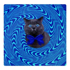 Магнитный плакат 3Х3 с принтом Гипнотический кот в Новосибирске, Полимерный материал с магнитным слоем | 9 деталей размером 9*9 см | big | арт | крупные арты | крупные принты | сумасшедшие арты