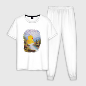 Мужская пижама хлопок с принтом Уточка в Новосибирске, 100% хлопок | брюки и футболка прямого кроя, без карманов, на брюках мягкая резинка на поясе и по низу штанин
 | ванна | водопад | горы | домик | красота | лес | озеро | океан | пейзаж | природа | утка | утя