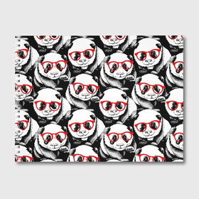 Альбом для рисования с принтом Панды в красных очках в Новосибирске, 100% бумага
 | матовая бумага, плотность 200 мг. | animals | bears | funny | head | muzzl | pandas | red | весёлые | взгляд | голова | графика | животные | искусство | картинка | красивый | красные | крутой | медведи | мода | модный | молодёжная | очки | панды | рисунок