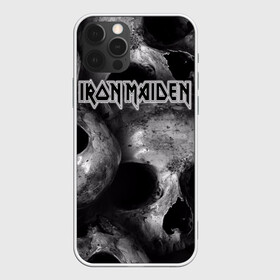 Чехол для iPhone 12 Pro с принтом Iron Maiden в Новосибирске, силикон | область печати: задняя сторона чехла, без боковых панелей | бас | британия | брюс дикинсон | гитара | группа | дева | железная | метал | нико макбрэйн | рок | стив харрис | хеви | яник герс