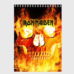 Скетчбук с принтом Iron Maiden в Новосибирске, 100% бумага
 | 48 листов, плотность листов — 100 г/м2, плотность картонной обложки — 250 г/м2. Листы скреплены сверху удобной пружинной спиралью | бас | британия | брюс дикинсон | гитара | группа | дева | железная | метал | нико макбрэйн | рок | стив харрис | хеви | яник герс