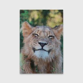 Обложка для паспорта матовая кожа с принтом Улыбка львицы в Новосибирске, натуральная матовая кожа | размер 19,3 х 13,7 см; прозрачные пластиковые крепления | Тематика изображения на принте: голова | животные | кот | кошка | лев | лицо | львица | прикол | прикольные | природа | смешные | тигр | тигрица | улыбается | улыбка | юмор