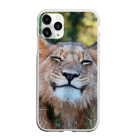 Чехол для iPhone 11 Pro матовый с принтом Улыбка львицы в Новосибирске, Силикон |  | Тематика изображения на принте: голова | животные | кот | кошка | лев | лицо | львица | прикол | прикольные | природа | смешные | тигр | тигрица | улыбается | улыбка | юмор