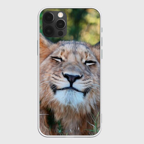 Чехол для iPhone 12 Pro Max с принтом Улыбка львицы в Новосибирске, Силикон |  | Тематика изображения на принте: голова | животные | кот | кошка | лев | лицо | львица | прикол | прикольные | природа | смешные | тигр | тигрица | улыбается | улыбка | юмор