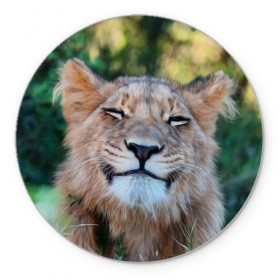 Коврик круглый с принтом Улыбка львицы в Новосибирске, резина и полиэстер | круглая форма, изображение наносится на всю лицевую часть | голова | животные | кот | кошка | лев | лицо | львица | прикол | прикольные | природа | смешные | тигр | тигрица | улыбается | улыбка | юмор