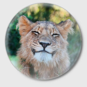 Значок с принтом Улыбка львицы в Новосибирске,  металл | круглая форма, металлическая застежка в виде булавки | Тематика изображения на принте: голова | животные | кот | кошка | лев | лицо | львица | прикол | прикольные | природа | смешные | тигр | тигрица | улыбается | улыбка | юмор