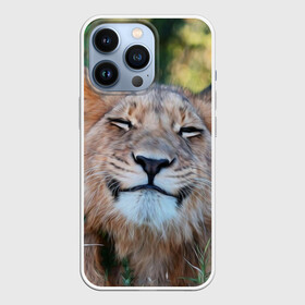 Чехол для iPhone 13 Pro с принтом Улыбка львицы в Новосибирске,  |  | голова | животные | кот | кошка | лев | лицо | львица | прикол | прикольные | природа | смешные | тигр | тигрица | улыбается | улыбка | юмор