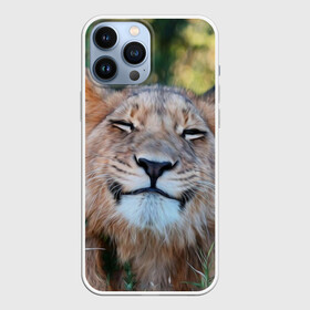 Чехол для iPhone 13 Pro Max с принтом Улыбка львицы в Новосибирске,  |  | голова | животные | кот | кошка | лев | лицо | львица | прикол | прикольные | природа | смешные | тигр | тигрица | улыбается | улыбка | юмор