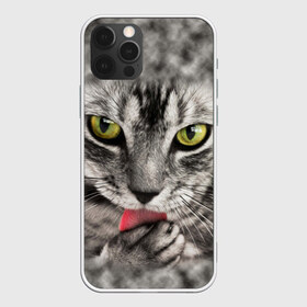 Чехол для iPhone 12 Pro Max с принтом Котик в Новосибирске, Силикон |  | животные | кот | котенок | кошка | лижет | мордочка | серый | умывается | язык