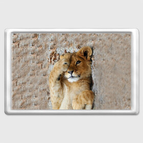 Магнит 45*70 с принтом Львенок в Новосибирске, Пластик | Размер: 78*52 мм; Размер печати: 70*45 | Тематика изображения на принте: дикая кошка | животные | кот | кошка | лев | львенок | львица | мордочка | природа | тигр | хищник