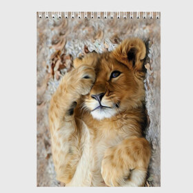 Скетчбук с принтом Львенок в Новосибирске, 100% бумага
 | 48 листов, плотность листов — 100 г/м2, плотность картонной обложки — 250 г/м2. Листы скреплены сверху удобной пружинной спиралью | дикая кошка | животные | кот | кошка | лев | львенок | львица | мордочка | природа | тигр | хищник