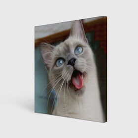 Холст квадратный с принтом Сиамский котенок в Новосибирске, 100% ПВХ |  | животные | кот | котенок | котик | кошечка | кошка | милый | мордочка | показывает язык | прикол | серый | сиамская | сиамская кошка | сиамский котенок | юмор | язык