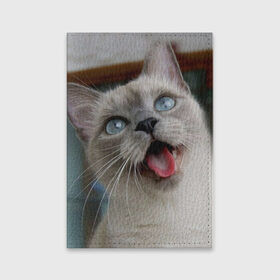 Обложка для паспорта матовая кожа с принтом Сиамский котенок в Новосибирске, натуральная матовая кожа | размер 19,3 х 13,7 см; прозрачные пластиковые крепления | животные | кот | котенок | котик | кошечка | кошка | милый | мордочка | показывает язык | прикол | серый | сиамская | сиамская кошка | сиамский котенок | юмор | язык