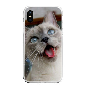 Чехол для iPhone XS Max матовый с принтом Сиамский котенок в Новосибирске, Силикон | Область печати: задняя сторона чехла, без боковых панелей | Тематика изображения на принте: животные | кот | котенок | котик | кошечка | кошка | милый | мордочка | показывает язык | прикол | серый | сиамская | сиамская кошка | сиамский котенок | юмор | язык