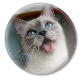 Значок с принтом Сиамский котенок в Новосибирске,  металл | круглая форма, металлическая застежка в виде булавки | животные | кот | котенок | котик | кошечка | кошка | милый | мордочка | показывает язык | прикол | серый | сиамская | сиамская кошка | сиамский котенок | юмор | язык