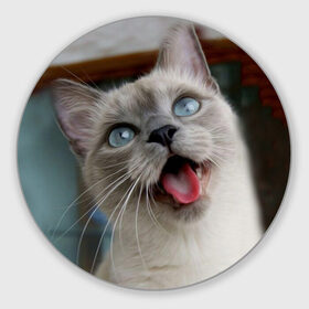 Коврик круглый с принтом Сиамский котенок в Новосибирске, резина и полиэстер | круглая форма, изображение наносится на всю лицевую часть | Тематика изображения на принте: животные | кот | котенок | котик | кошечка | кошка | милый | мордочка | показывает язык | прикол | серый | сиамская | сиамская кошка | сиамский котенок | юмор | язык