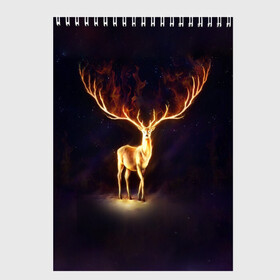 Скетчбук с принтом Огненный олень в Новосибирске, 100% бумага
 | 48 листов, плотность листов — 100 г/м2, плотность картонной обложки — 250 г/м2. Листы скреплены сверху удобной пружинной спиралью | deer | fire | flame | horns | огонь | пламя | рога
