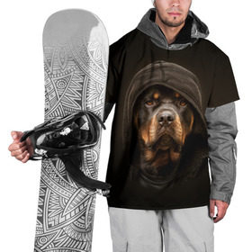 Накидка на куртку 3D с принтом Ротвейлер в капюшоне  в Новосибирске, 100% полиэстер |  | Тематика изображения на принте: rottweiler | капюшон | молоссы | пастух | пёс | собака | щенок