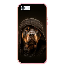 Чехол для iPhone 5/5S матовый с принтом Ротвейлер в капюшоне в Новосибирске, Силикон | Область печати: задняя сторона чехла, без боковых панелей | rottweiler | капюшон | молоссы | пастух | пёс | собака | щенок