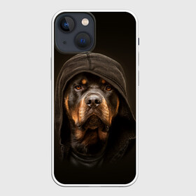 Чехол для iPhone 13 mini с принтом Ротвейлер в капюшоне в Новосибирске,  |  | Тематика изображения на принте: rottweiler | капюшон | молоссы | пастух | пёс | собака | щенок