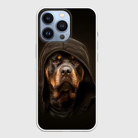 Чехол для iPhone 13 Pro с принтом Ротвейлер в капюшоне в Новосибирске,  |  | Тематика изображения на принте: rottweiler | капюшон | молоссы | пастух | пёс | собака | щенок