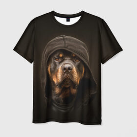Мужская футболка 3D с принтом Ротвейлер в капюшоне в Новосибирске, 100% полиэфир | прямой крой, круглый вырез горловины, длина до линии бедер | rottweiler | капюшон | молоссы | пастух | пёс | собака | щенок