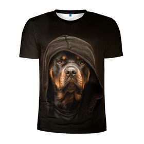 Мужская футболка 3D спортивная с принтом Ротвейлер в капюшоне в Новосибирске, 100% полиэстер с улучшенными характеристиками | приталенный силуэт, круглая горловина, широкие плечи, сужается к линии бедра | rottweiler | капюшон | молоссы | пастух | пёс | собака | щенок