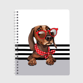 Тетрадь с принтом Такса в очках в Новосибирске, 100% бумага | 48 листов, плотность листов — 60 г/м2, плотность картонной обложки — 250 г/м2. Листы скреплены сбоку удобной пружинной спиралью. Уголки страниц и обложки скругленные. Цвет линий — светло-серый
 | animal | black | breed | dachshund | dog | domestic | drawing | gra | polka | red | shawl | stripes | white | белый | горошек | графика | домашняя | животное | красный | надпись | очки | платок | полосы | порода | рисунок | собака | такса | текс