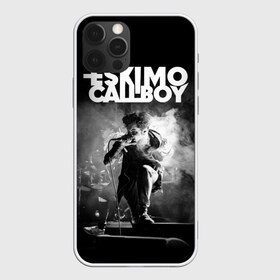 Чехол для iPhone 12 Pro Max с принтом Eskimo Callboy в Новосибирске, Силикон |  | Тематика изображения на принте: bury me in vegas | crystals | danskimo | eskimo callboy | sushi | the scene | we are the mess | группы | метал | музыка | рок | эскимо колбой