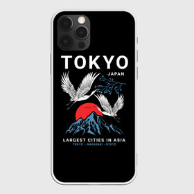 Чехол для iPhone 12 Pro Max с принтом Tokyo в Новосибирске, Силикон |  | Тематика изображения на принте: cities | country | japan | large | most | mountains | nagasaki | tokyo | travel | большие | восход | города | горы | графика | журавли | закат | летят | нагасаки | надпись | полет | птицы | путешествия | рисунок | самые | солнце | страна