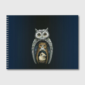 Альбом для рисования с принтом сова-матрешка в Новосибирске, 100% бумага
 | матовая бумага, плотность 200 мг. | Тематика изображения на принте: owl | матрешка | ночь | птица | сова | филин