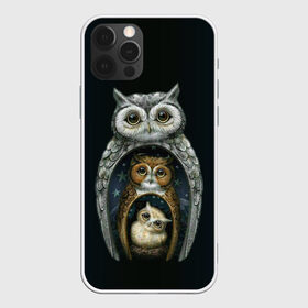 Чехол для iPhone 12 Pro Max с принтом сова-матрешка в Новосибирске, Силикон |  | owl | матрешка | ночь | птица | сова | филин