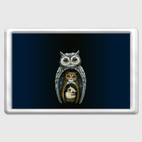 Магнит 45*70 с принтом сова-матрешка в Новосибирске, Пластик | Размер: 78*52 мм; Размер печати: 70*45 | Тематика изображения на принте: owl | матрешка | ночь | птица | сова | филин