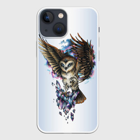 Чехол для iPhone 13 mini с принтом сова в Новосибирске,  |  | owl | кристаллы | ночь | птица | сова | филин