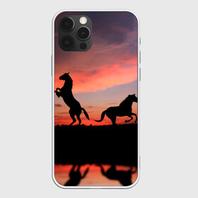 Чехол для iPhone 12 Pro Max с принтом Кони на закате в Новосибирске, Силикон |  | Тематика изображения на принте: животные | закат | кони | конь | лошади | лошадь | природа