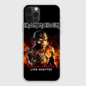 Чехол для iPhone 12 Pro с принтом Iron Maiden в Новосибирске, силикон | область печати: задняя сторона чехла, без боковых панелей | heavy metal | iron maiden | metal | айрон мейден | группы | метал | музыка | рок | хеви метал