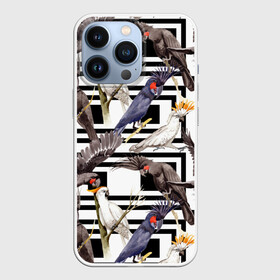 Чехол для iPhone 13 Pro с принтом Попугаи какаду в Новосибирске,  |  | birds | bri | cockatoo | exotic | jungle | palm | parrots | tropical | акварель | геометрический | графика | джунгли | иллюстрация | картинка | мода | молодежная | орнамент | пальмы | попугаи | птицы | рисунок | стиль