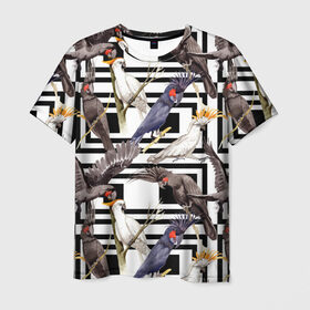 Мужская футболка 3D с принтом Попугаи какаду в Новосибирске, 100% полиэфир | прямой крой, круглый вырез горловины, длина до линии бедер | birds | bri | cockatoo | exotic | jungle | palm | parrots | tropical | акварель | геометрический | графика | джунгли | иллюстрация | картинка | мода | молодежная | орнамент | пальмы | попугаи | птицы | рисунок | стиль