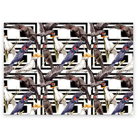 Поздравительная открытка с принтом Попугаи какаду в Новосибирске, 100% бумага | плотность бумаги 280 г/м2, матовая, на обратной стороне линовка и место для марки
 | Тематика изображения на принте: birds | bri | cockatoo | exotic | jungle | palm | parrots | tropical | акварель | геометрический | графика | джунгли | иллюстрация | картинка | мода | молодежная | орнамент | пальмы | попугаи | птицы | рисунок | стиль