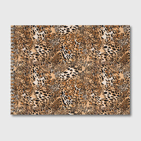 Альбом для рисования с принтом Леопард в Новосибирске, 100% бумага
 | матовая бумага, плотность 200 мг. | camouflage | cat | disguise | fashion | illustration | jungle | leopard | predator | skin | spots | style | wild | youth | графика | джунгли | дикий | иллюстрация | камуфляж | картинка | кошка | леопард | маскировка | мода | молодежная | пятна | рисунок |