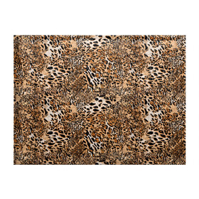Обложка для студенческого билета с принтом Леопард в Новосибирске, натуральная кожа | Размер: 11*8 см; Печать на всей внешней стороне | Тематика изображения на принте: camouflage | cat | disguise | fashion | illustration | jungle | leopard | predator | skin | spots | style | wild | youth | графика | джунгли | дикий | иллюстрация | камуфляж | картинка | кошка | леопард | маскировка | мода | молодежная | пятна | рисунок |