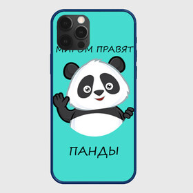 Чехол для iPhone 12 Pro Max с принтом ПАНДА в Новосибирске, Силикон |  | bear | panda | the world is ruled by pandas | животное | медведь | мир | панда | правят панды | приветы | просто красавчик