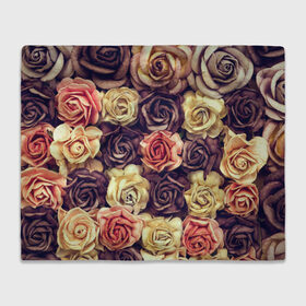 Плед 3D с принтом Шоколадные розы в Новосибирске, 100% полиэстер | закругленные углы, все края обработаны. Ткань не мнется и не растягивается | Тематика изображения на принте: бабушке | девочке | девушке | дочке | желтые цветы | женщине | маме | подруге | природа | розовые цветы | розы | сестре | теще | тюльпаны | цветы