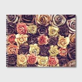Альбом для рисования с принтом Шоколадные розы в Новосибирске, 100% бумага
 | матовая бумага, плотность 200 мг. | Тематика изображения на принте: бабушке | девочке | девушке | дочке | желтые цветы | женщине | маме | подруге | природа | розовые цветы | розы | сестре | теще | тюльпаны | цветы