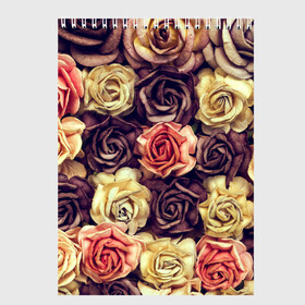 Скетчбук с принтом Шоколадные розы в Новосибирске, 100% бумага
 | 48 листов, плотность листов — 100 г/м2, плотность картонной обложки — 250 г/м2. Листы скреплены сверху удобной пружинной спиралью | Тематика изображения на принте: бабушке | девочке | девушке | дочке | желтые цветы | женщине | маме | подруге | природа | розовые цветы | розы | сестре | теще | тюльпаны | цветы