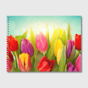 Альбом для рисования с принтом Тюльпаны в Новосибирске, 100% бумага
 | матовая бумага, плотность 200 мг. | бабушке | девочке | девушке | дочке | желтые цветы | женщине | маме | подруге | природа | розовые цветы | розы | сестре | теще | тюльпаны | цветы