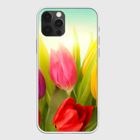 Чехол для iPhone 12 Pro Max с принтом Тюльпаны в Новосибирске, Силикон |  | Тематика изображения на принте: бабушке | девочке | девушке | дочке | желтые цветы | женщине | маме | подруге | природа | розовые цветы | розы | сестре | теще | тюльпаны | цветы